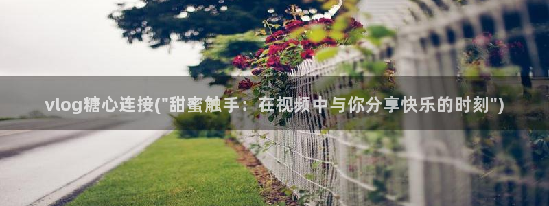 糖心/：vlog糖心连接(\