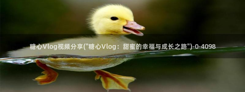 糖心vig