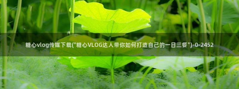 糖心vlo