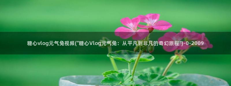 糖心独家：糖心vlog元气兔视频(\
