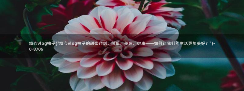 糖心viog：糖心vlog柚子(\