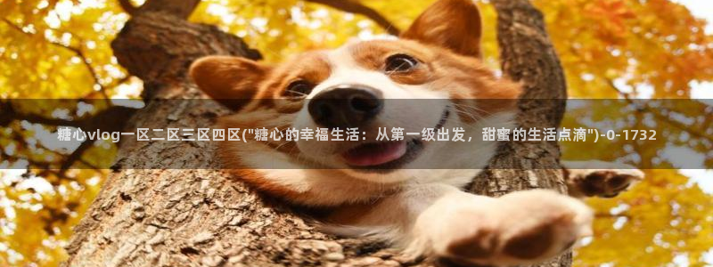 糖心官网免费进入vlog