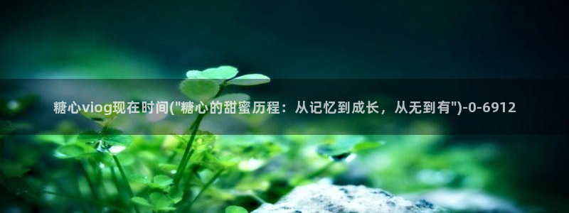 糖vlog日常