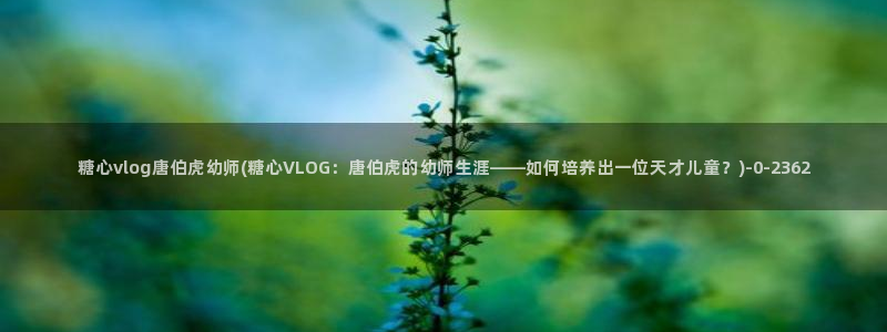 糖心vlog.