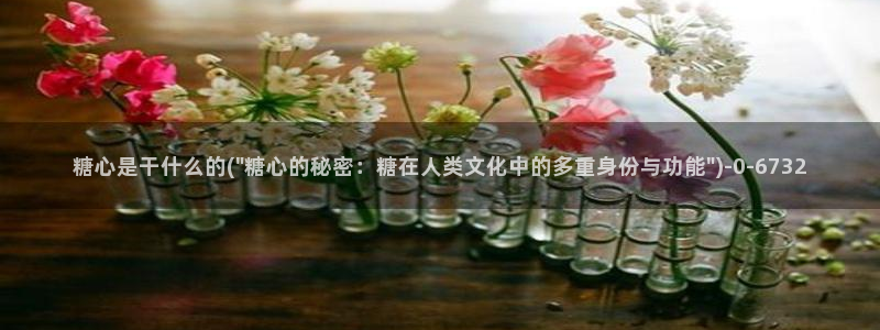 糖心vlog是正规的么