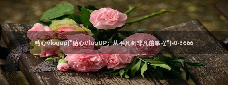 糖心视频vlog