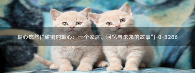国产糖心vlog传媒：糖心悠悠(\