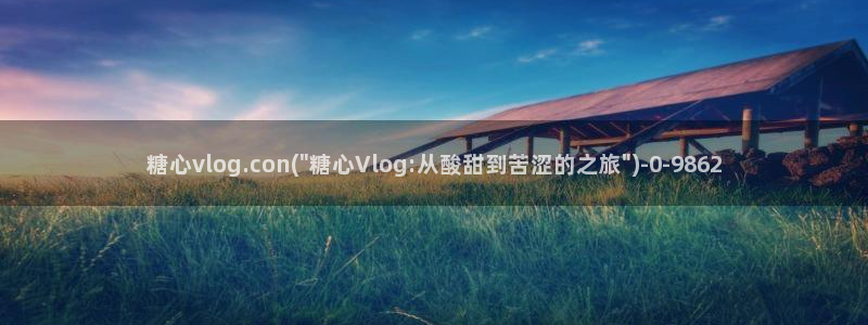 糖心vlog软件